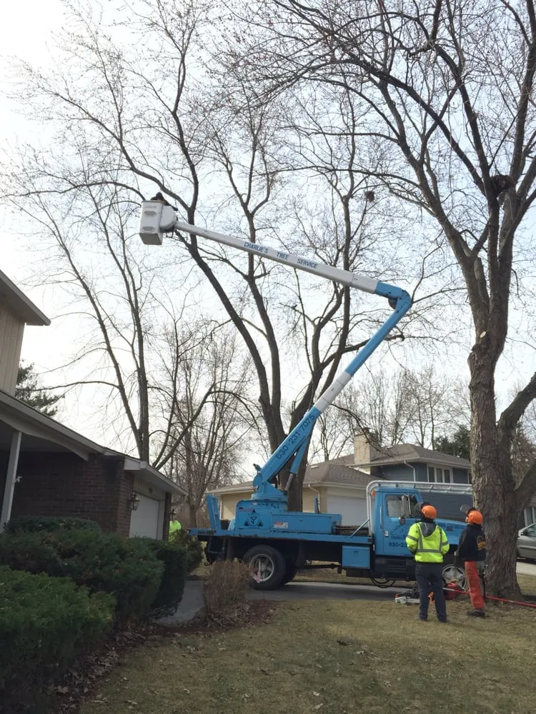 Reliable landscape installation with custom design in West Chicago, IL by Chuck Strayve Landscaping