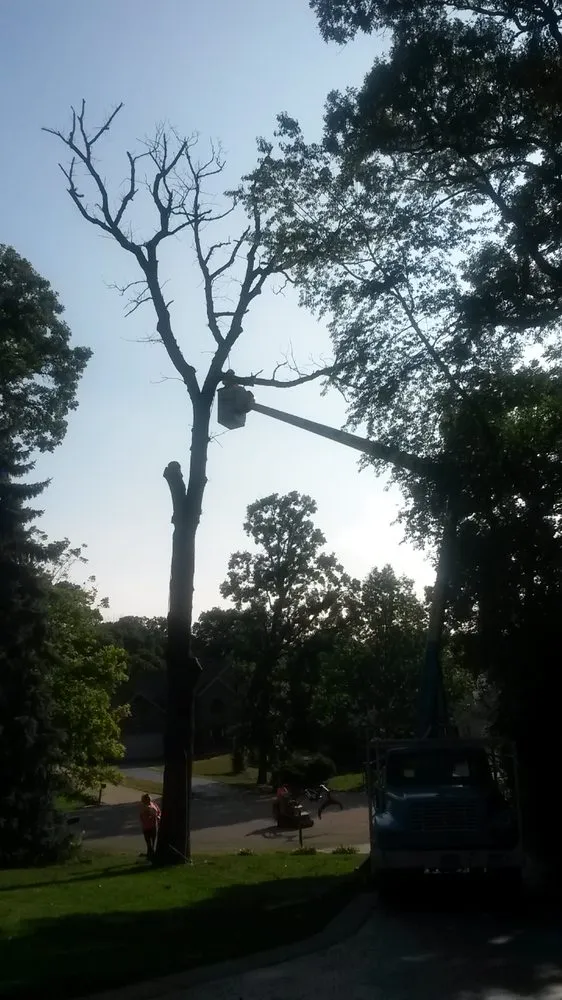 Local outdoor landscaping in West Chicago, IL - Chuck Strayve Landscaping