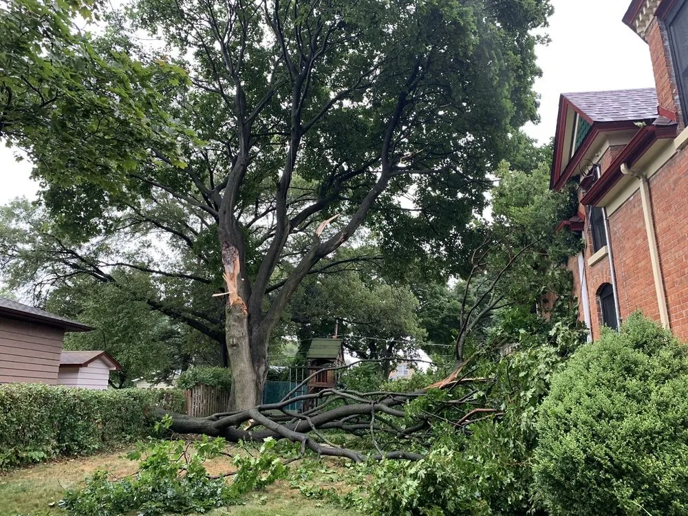 Professional landscape installation for year-round maintenance across West Chicago, IL - Chuck Strayve Landscaping