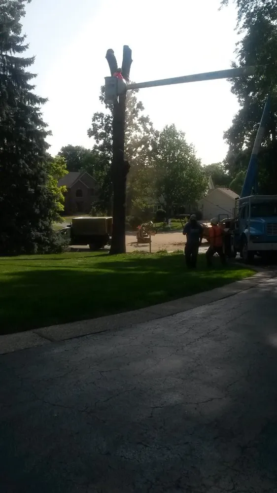 Professional outdoor landscaping in West Chicago, IL - Chuck Strayve Landscaping