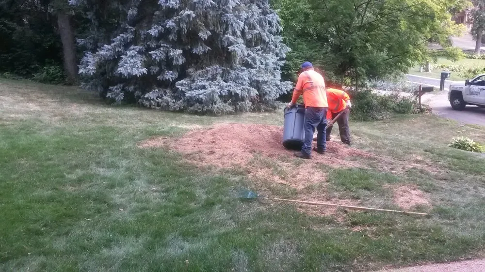 Top-rated yard cleanup service in West Chicago, IL - Chuck Strayve Landscaping