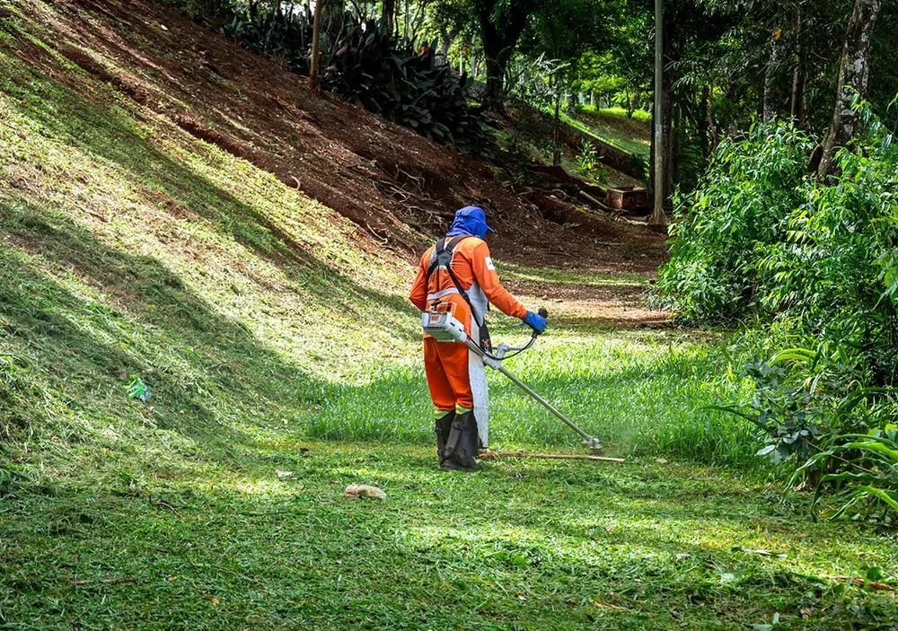 Top-rated outdoor landscaping experts serving West Chicago, IL - Chuck Strayve Landscaping