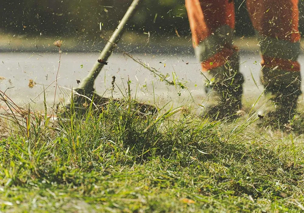 Trusted yard cleanup service for beautiful yards across West Chicago, IL - Chuck Strayve Landscaping