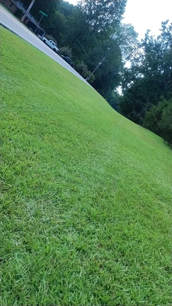 Top-rated landscape design in Kings Mountain, NC - Chuck's Cuts Lawn Care