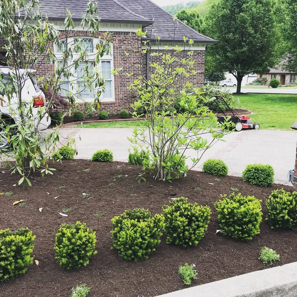 Reliable outdoor landscaping for beautiful yards in Pikeville, KY by Chuck's Landscaping & Lawn Care