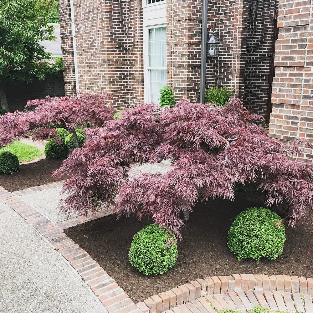 Custom outdoor landscaping in Pikeville, KY - Chuck's Landscaping & Lawn Care