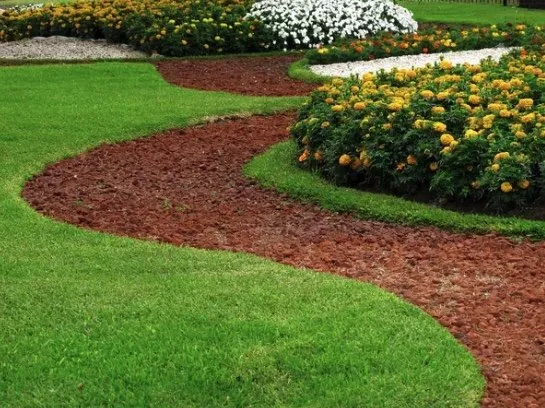 Expert yard cleanup service experts serving Prior lake, MN - Chucks Landscaping And Company