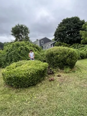 Chucks Landscaping Logo