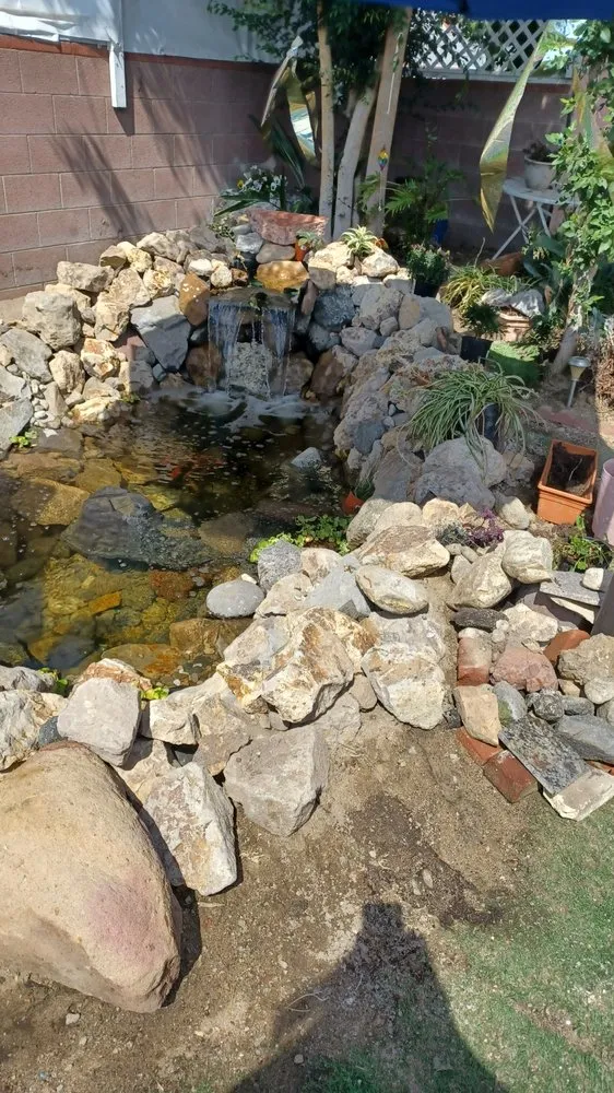 Local yard cleanup service experts serving Los Angeles, CA - Chuck's Landscaping