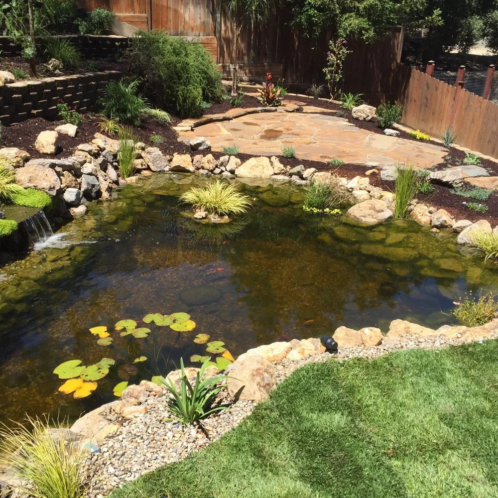 Professional yard maintenance for residential properties across Los Angeles, CA - Chuck's Landscaping