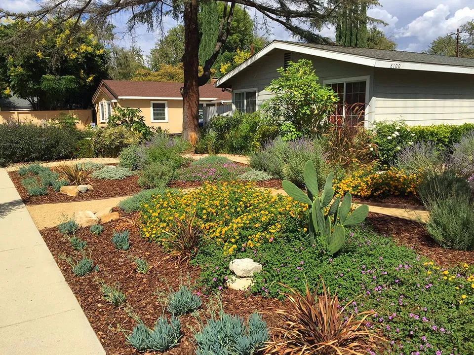 Reliable landscaping services experts serving Los Angeles, CA - Chuck's Landscaping