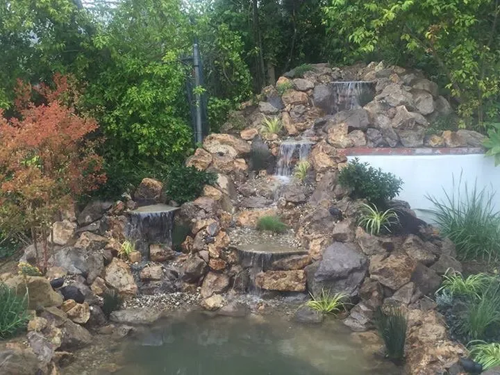 Affordable yard cleanup service in Los Angeles, CA by Chuck's Landscaping