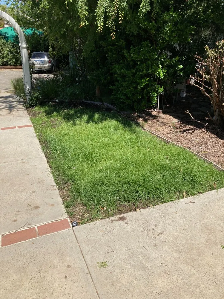 Custom garden landscaping experts serving Los Angeles, CA - Chuck's Landscaping