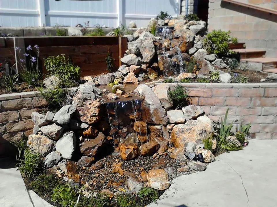 Trusted lawn care service in Los Angeles, CA by Chuck's Landscaping