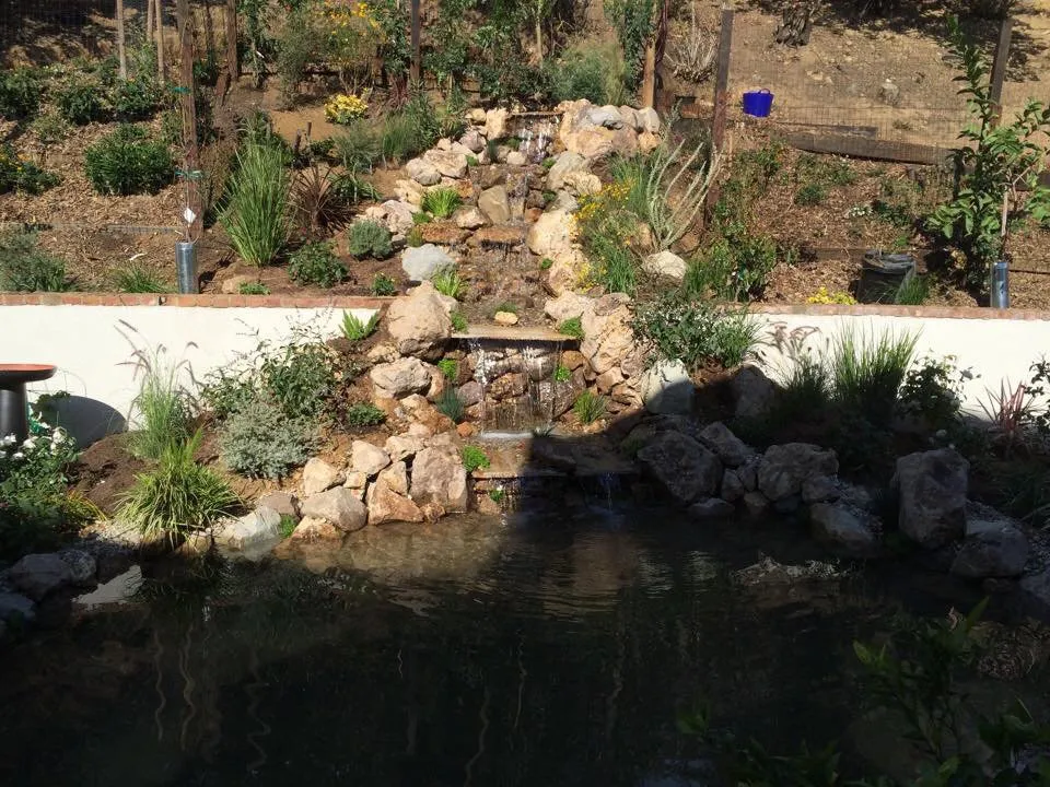 Reliable landscape installation for outdoor upgrades across Los Angeles, CA - Chuck's Landscaping
