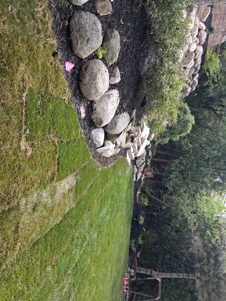 Professional yard cleanup service experts serving Walker, MI - Chucks landscaping