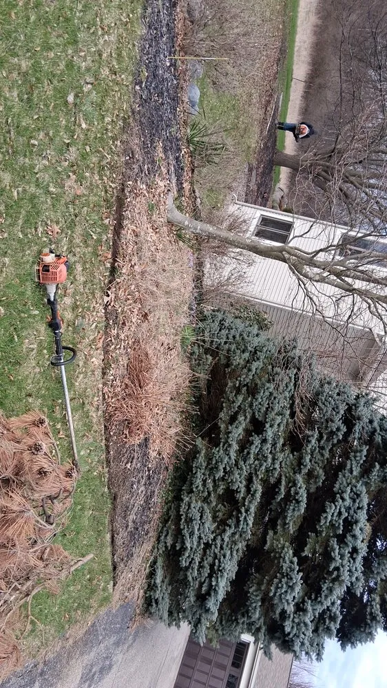 Custom lawn care service near you across Walker, MI - Chucks landscaping