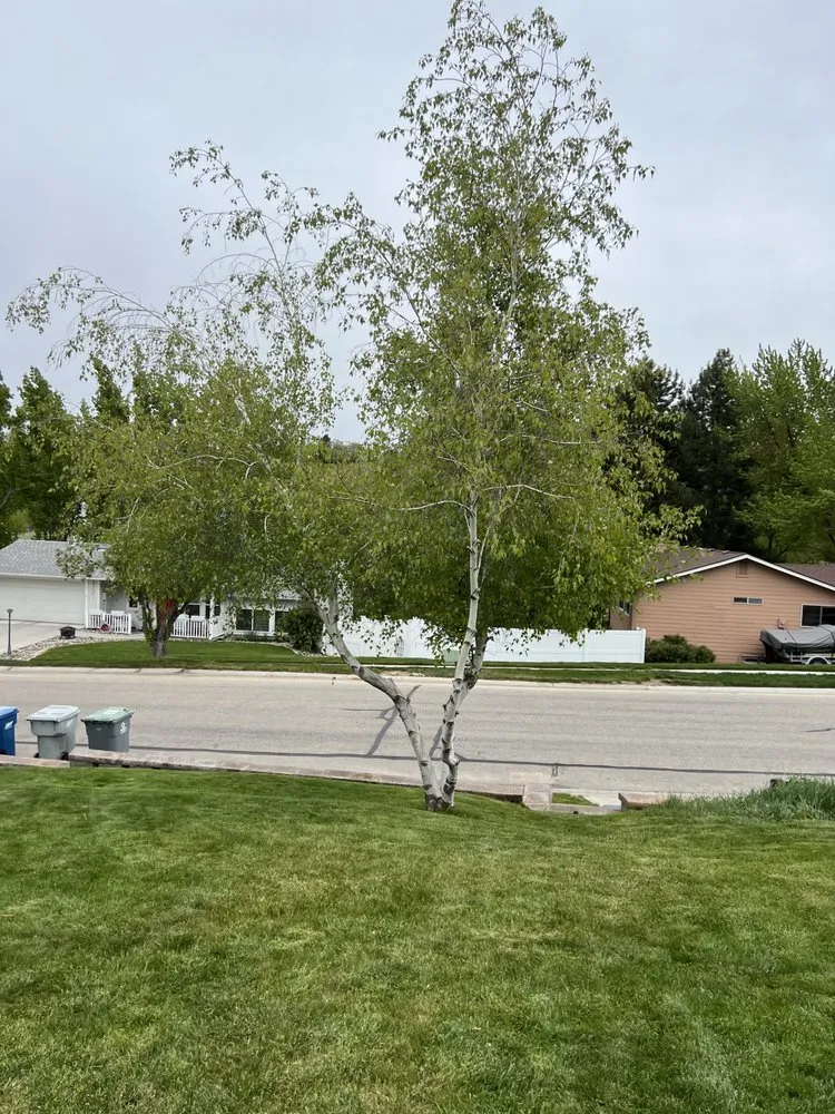 Professional garden landscaping in Boise, ID - Chucks Lawn Legacy