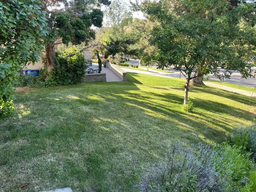 Expert lawn care service in Boise, ID by Chucks Lawn Legacy