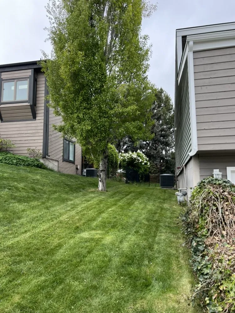 Local lawn care service experts serving Boise, ID - Chucks Lawn Legacy