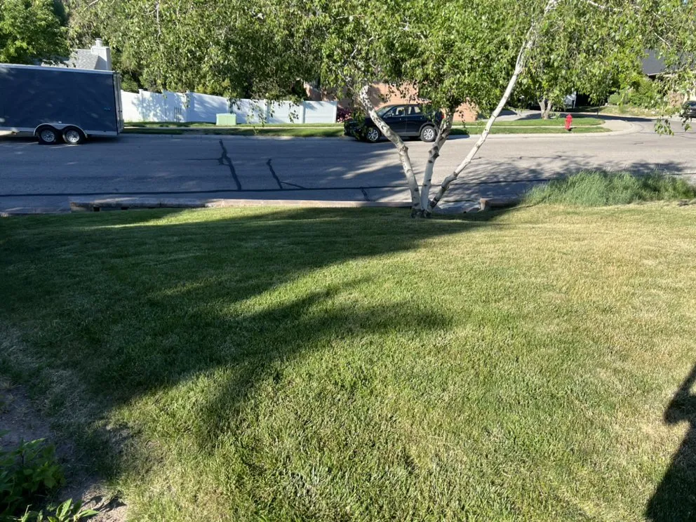 Reliable yard maintenance in Boise, ID by Chucks Lawn Legacy