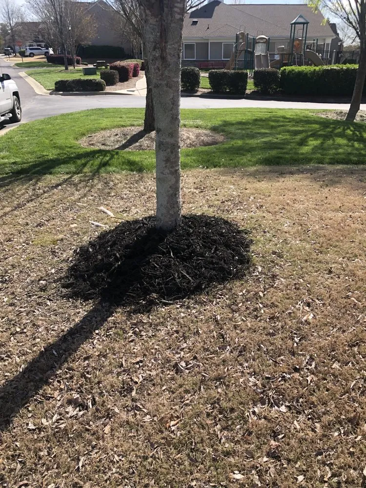 Local landscape installation for homes across Belmont, NC - ChuckScapes Lawn Care Service