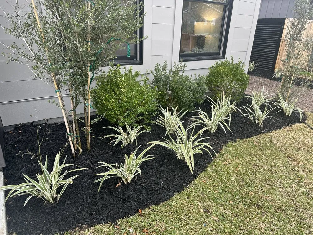 Local lawn care service in Charleston, SC by ChuckTown Landscaping