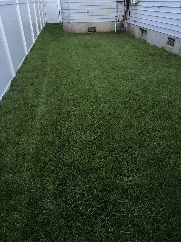 Professional landscape design for outdoor upgrades in Charleston, SC by ChuckTown Landscaping