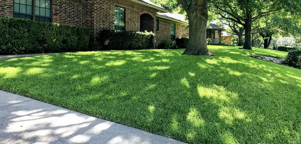 Top-rated lawn mowing service for year-round maintenance across Charleston, SC - ChuckTown Landscaping