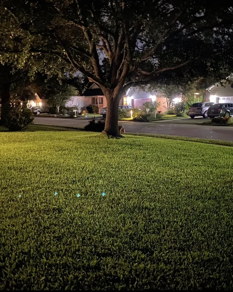 Expert landscape installation near you in Charleston, SC by ChuckTown Landscaping