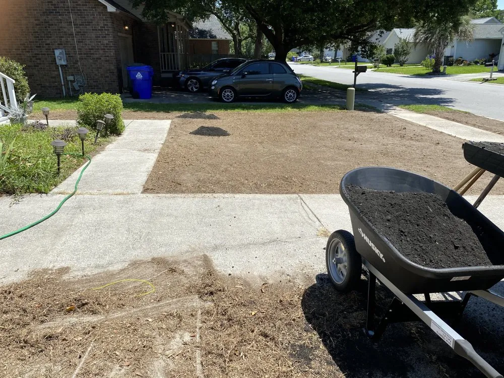 Professional yard maintenance for year-round maintenance in Charleston, SC by ChuckTown Landscaping