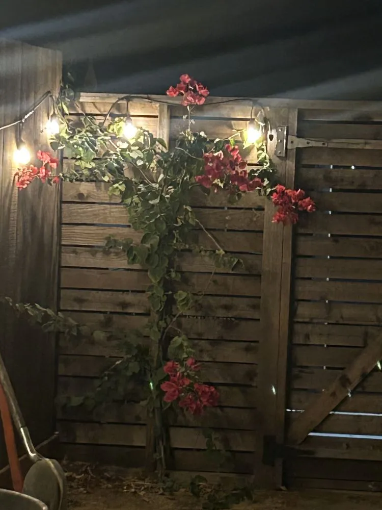 Expert yard cleanup service in Oakley, CA by Chula Vista Landscape