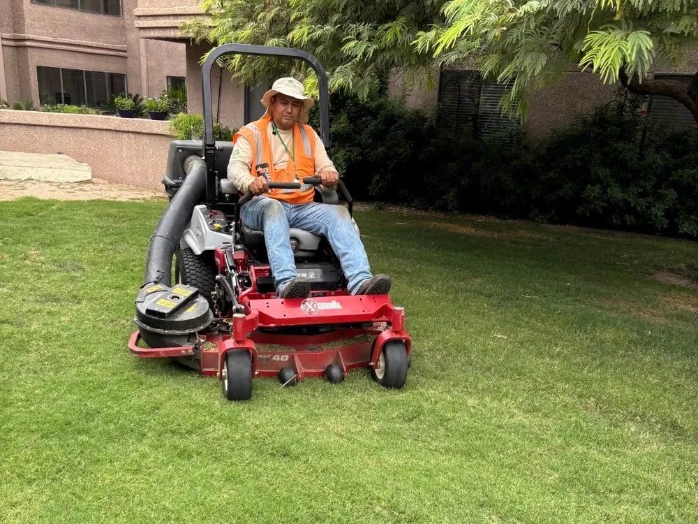 Custom outdoor landscaping for residential properties across Tucson, AZ - Chula Vista Landscaping