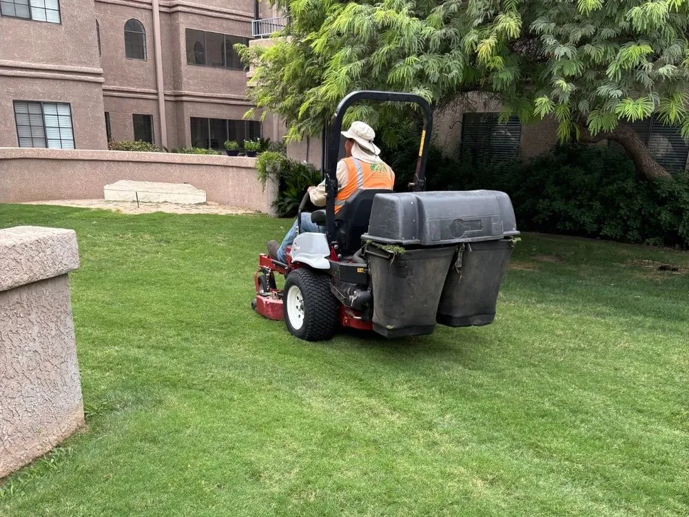 Trusted yard cleanup service experts serving Tucson, AZ - Chula Vista Landscaping