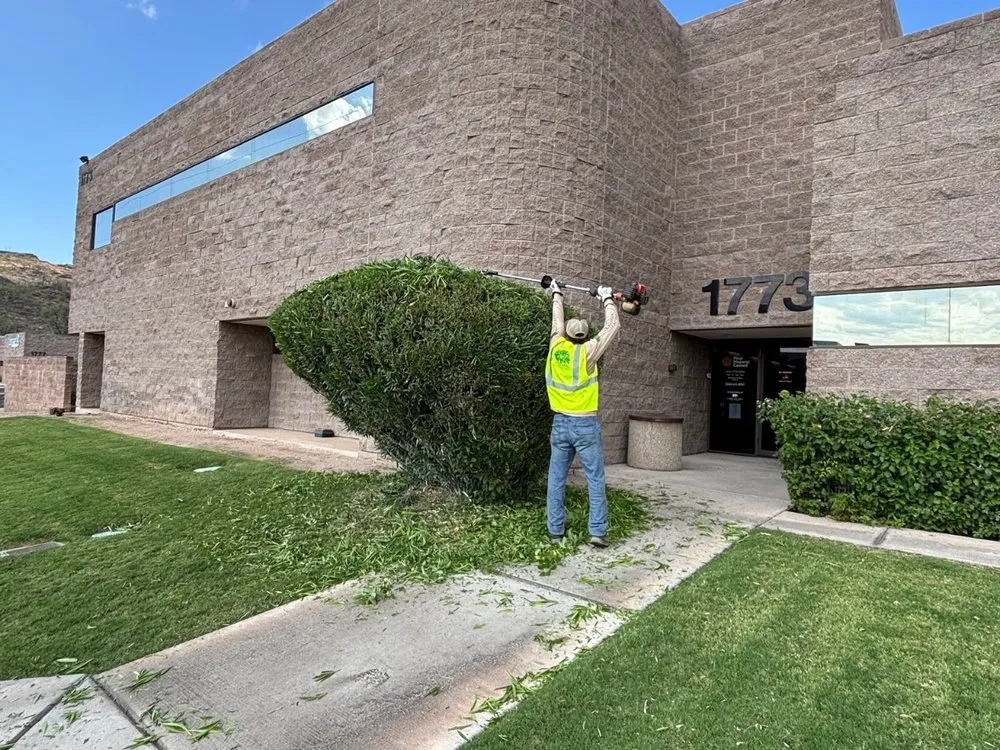 Trusted landscape design for year-round maintenance in Tucson, AZ by Chula Vista Landscaping