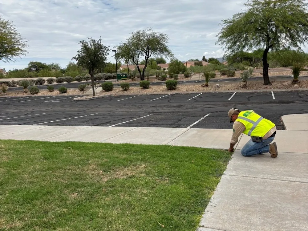 Reliable outdoor landscaping in Tucson, AZ by Chula Vista Landscaping