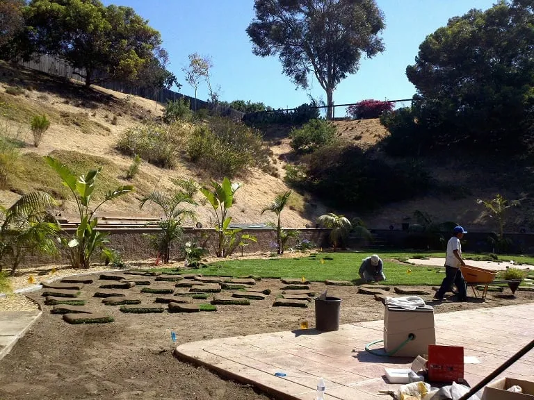 Expert lawn care service with custom design across Chula Vista, CA - Chula Vista Lawn