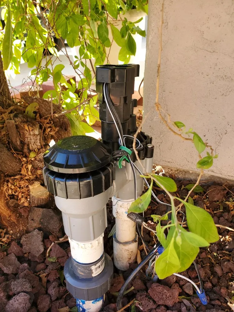 Professional lawn mowing service for homes in Chula Vista, CA by Chula Vista Lawn