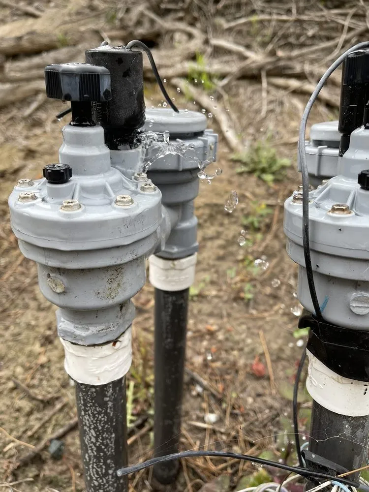 Affordable lawn mowing service in Chula Vista, CA by Chula Vista Lawn