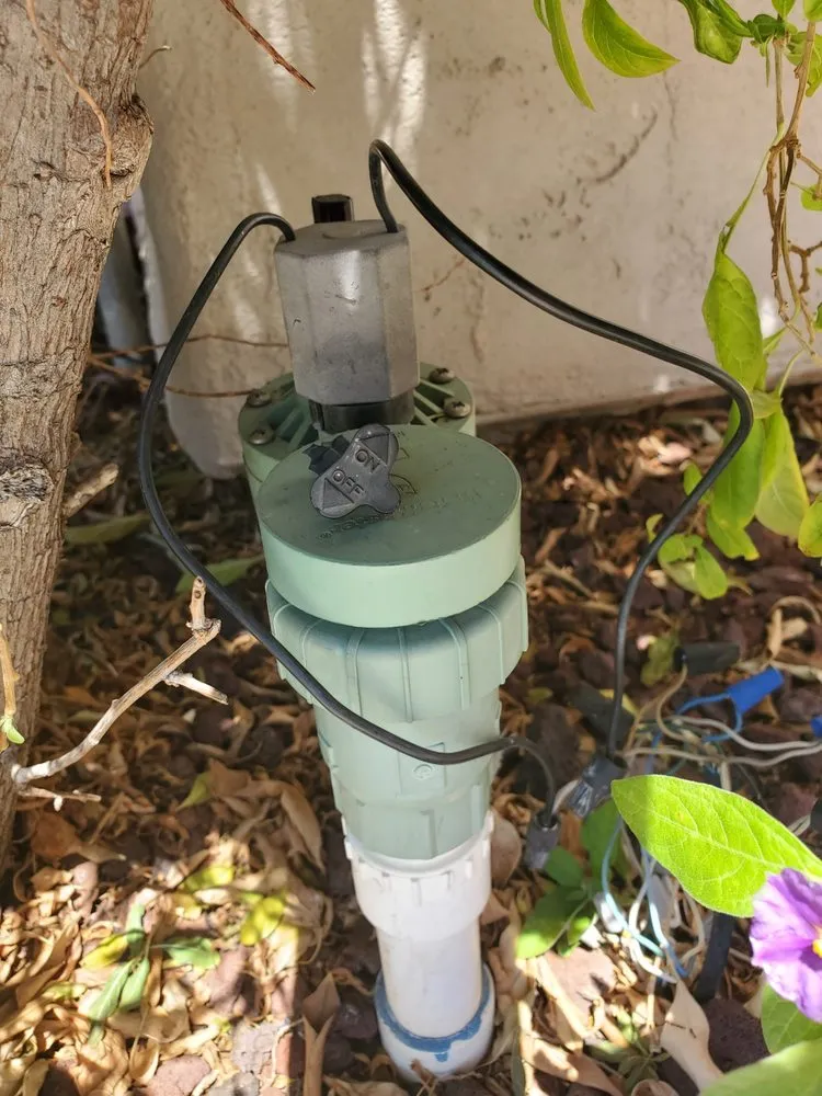 Affordable garden landscaping experts serving Chula Vista, CA - Chula Vista Lawn