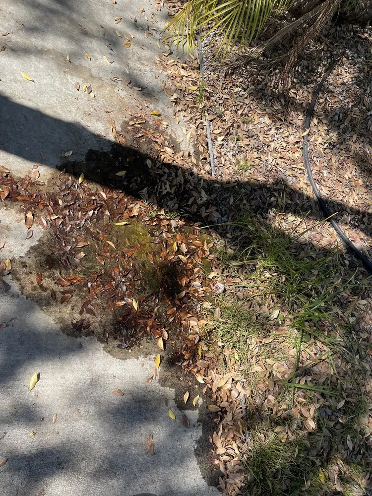 Local landscape design in Chula Vista, CA - Chula Vista Lawn