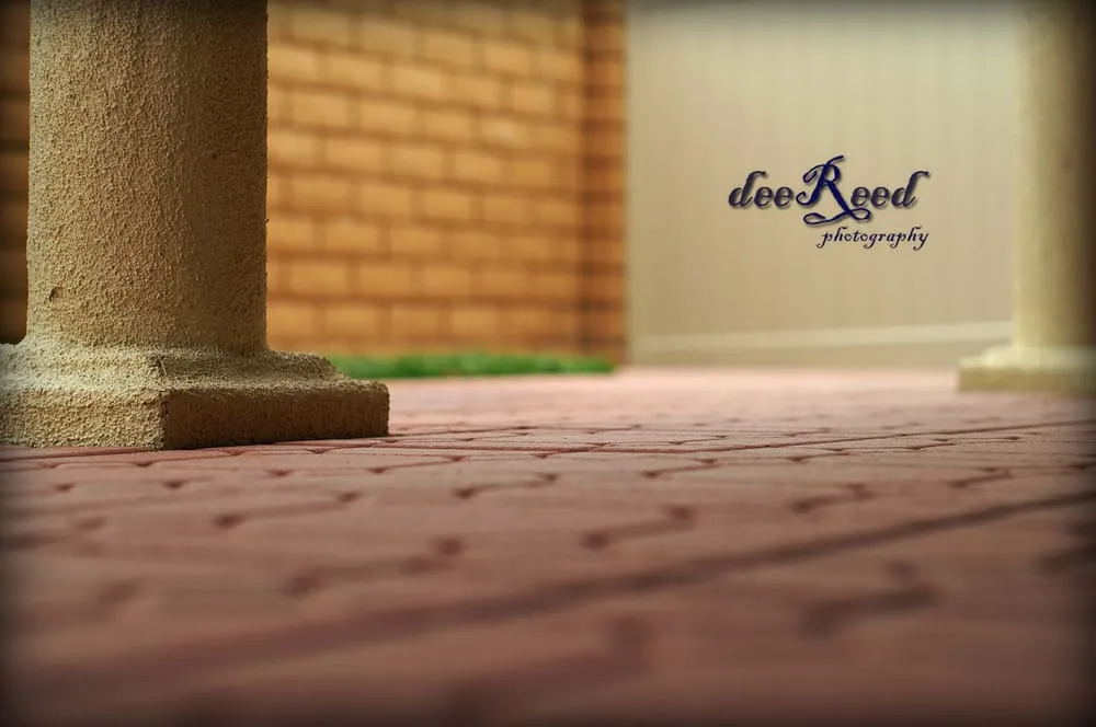 Top-rated yard cleanup service in Chula Vista, CA by Chula Vista Lawn