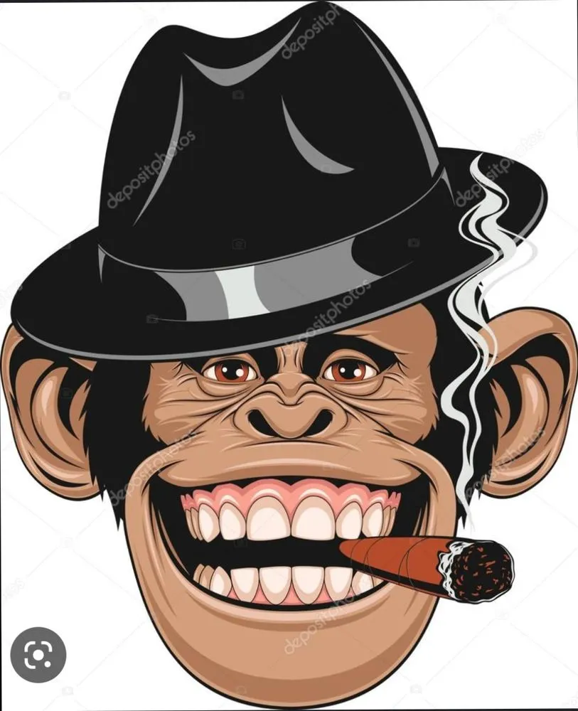 Professional residential landscaping experts serving Vandergrift, PA - Chunky Monkey lawn care and more