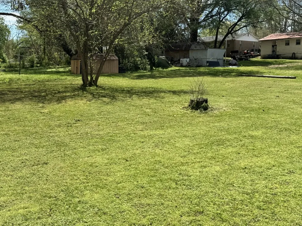 Trusted outdoor landscaping in McKenzie, TN by Chunns Lawn Care