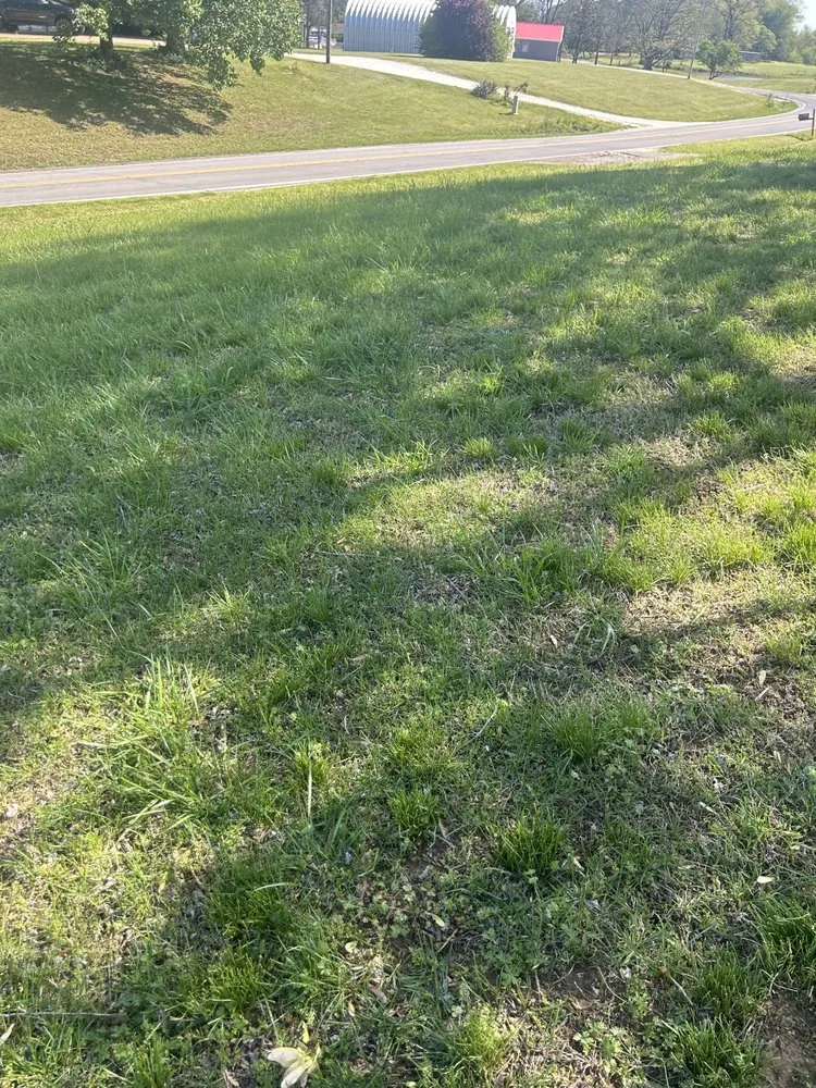 Top-rated landscape installation in McKenzie, TN - Chunns Lawn Care