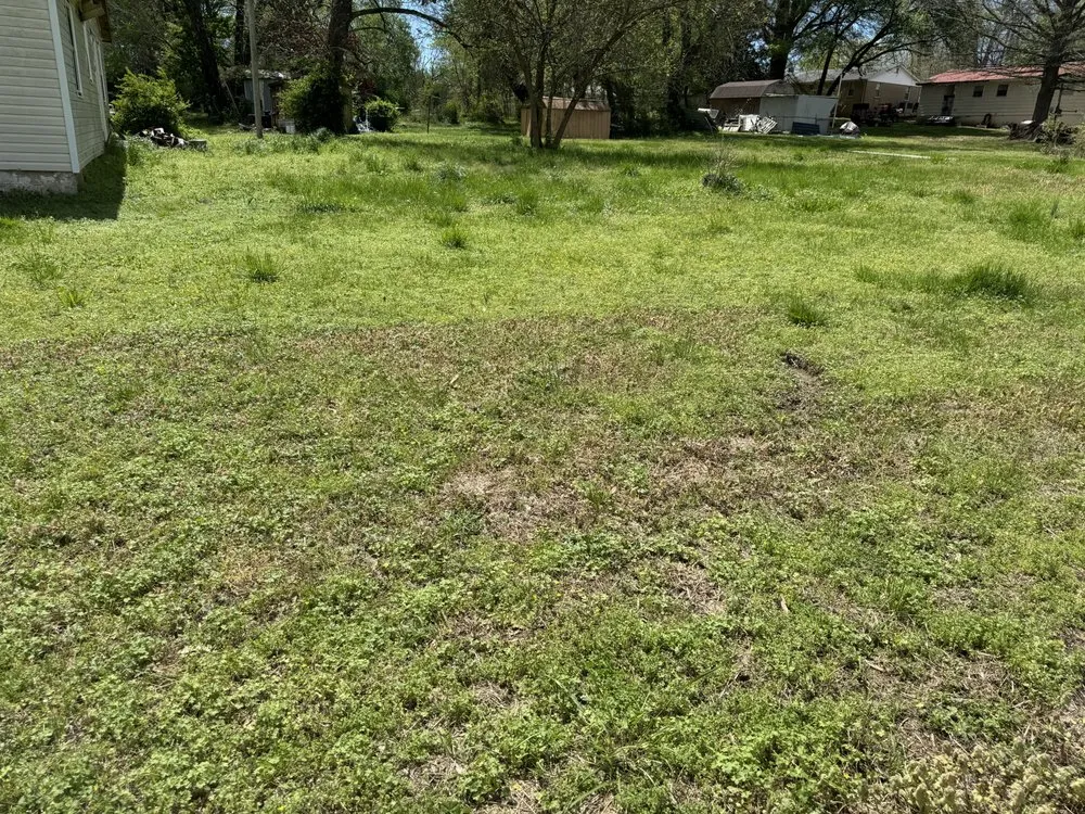 Top-rated lawn mowing service in McKenzie, TN by Chunns Lawn Care