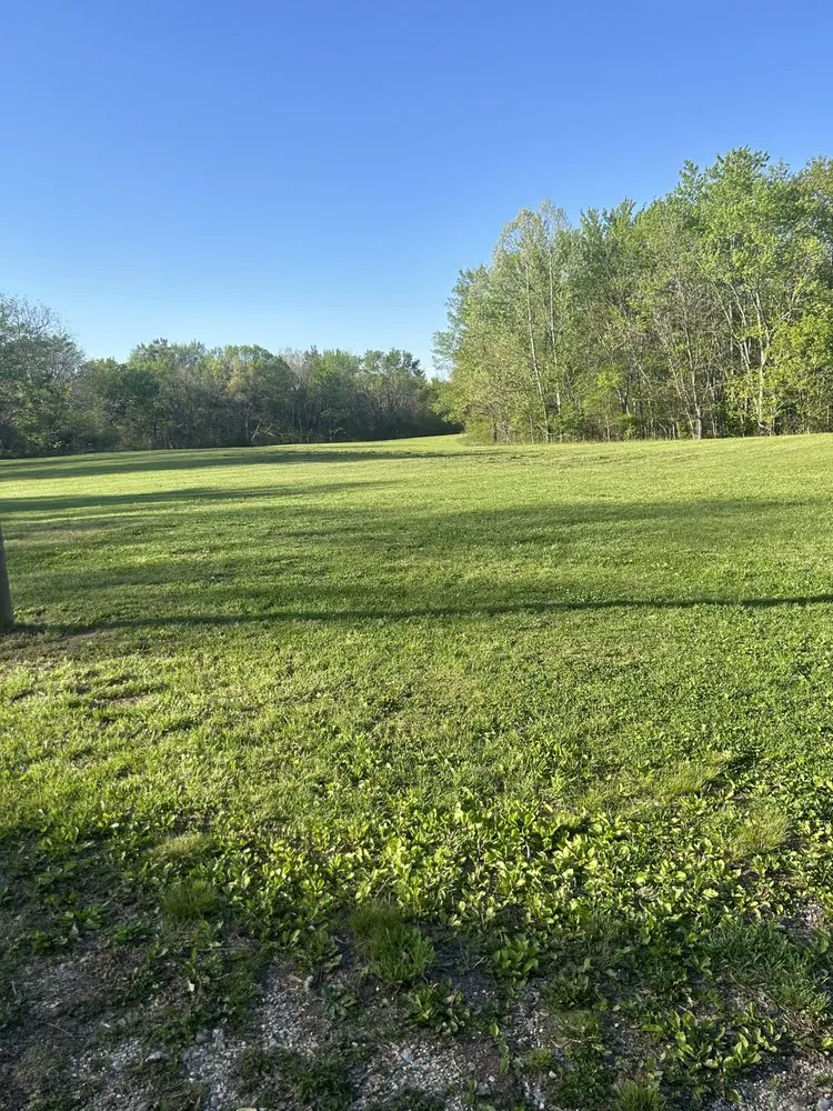 Local landscaping services in McKenzie, TN - Chunns Lawn Care