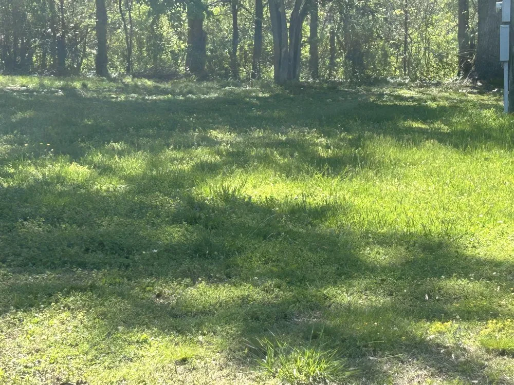 Expert lawn care service near you in McKenzie, TN by Chunns Lawn Care