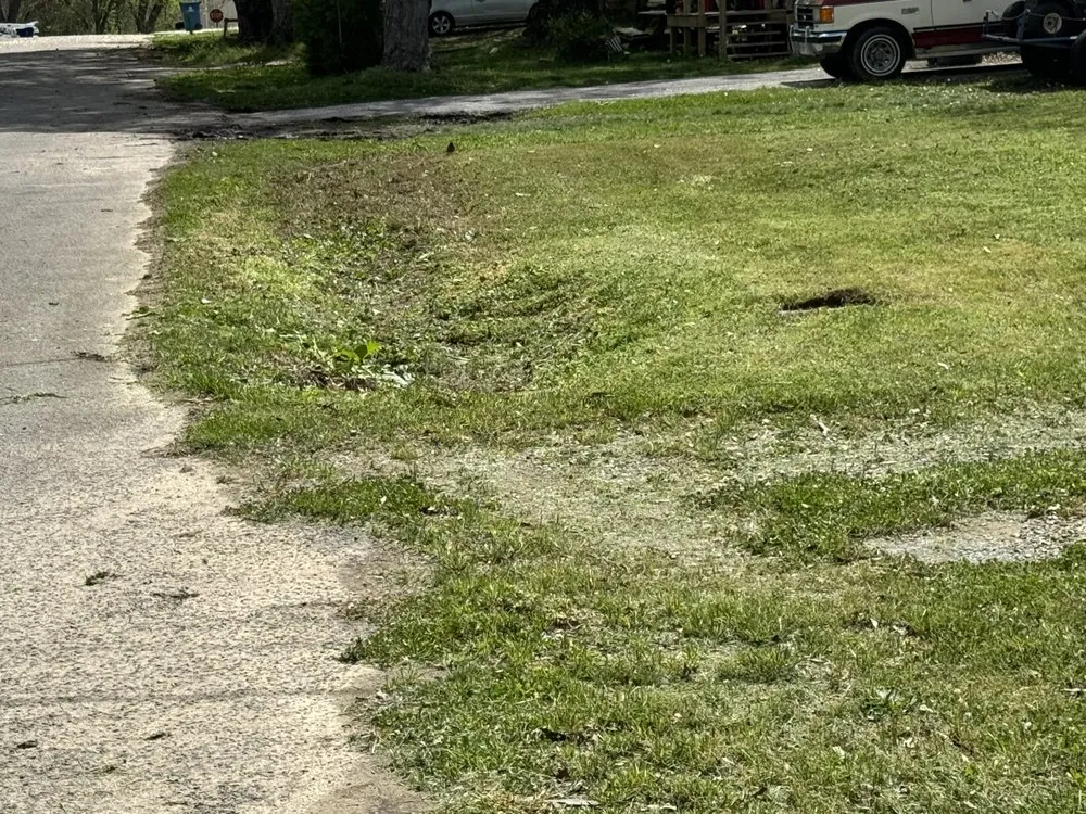 Affordable landscape design experts serving McKenzie, TN - Chunns Lawn Care