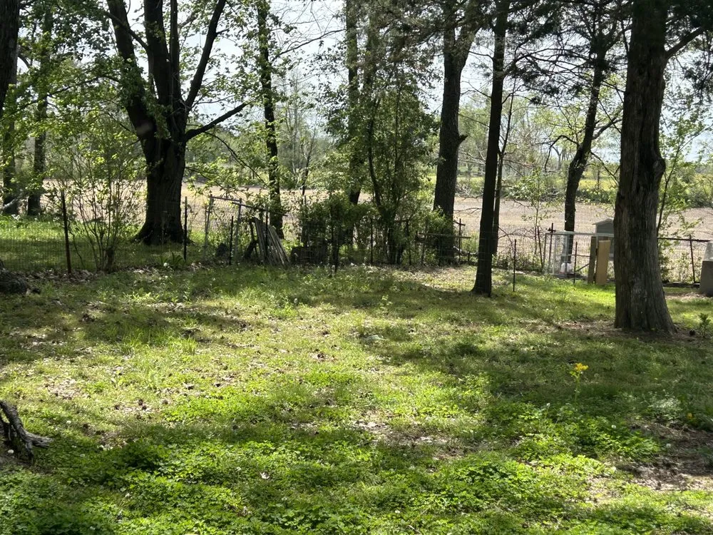 Top-rated yard maintenance experts serving McKenzie, TN - Chunns Lawn Care